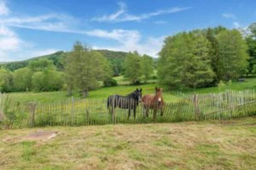 Gite la Randonnee - foto 34