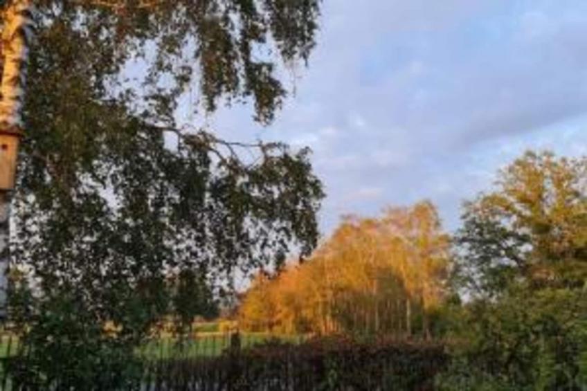 Huus in 't Hagt - foto 28