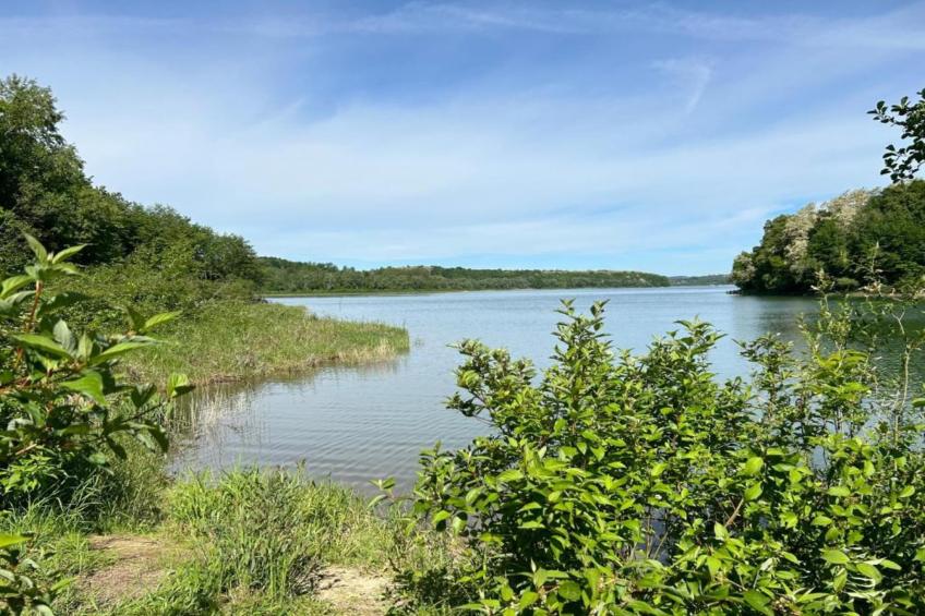 Villa Dobczyce - foto 23