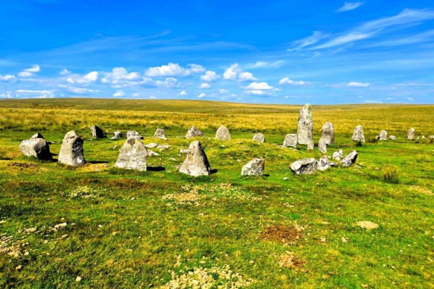 Little Dunley - Willow - foto 11