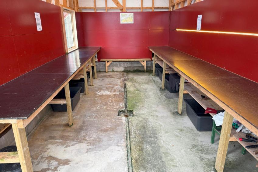 Stabben white House - foto 34