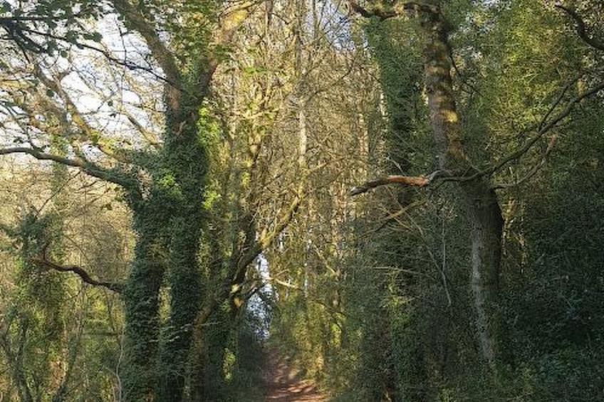 Charmantes großes Cottage zwischen Land und Meer - foto 17