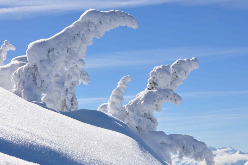 Appartement Almliebe - foto 12