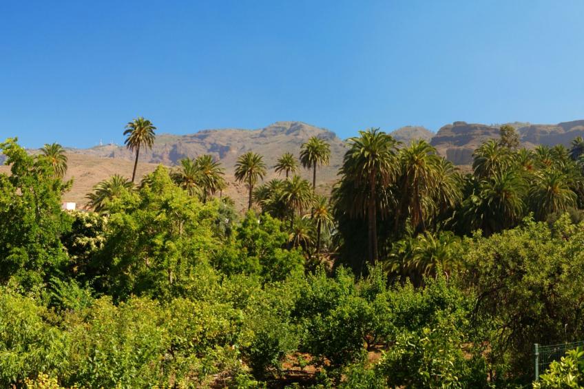 Komfortables Ferienhaus La Fuente de la Flora - foto 27