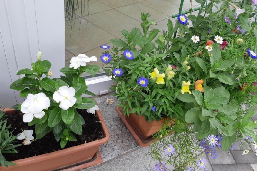 in Bük im Parterre mit Garten - foto 23