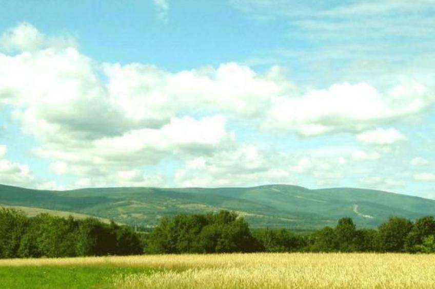 in Gajówka mit Terrasse und Garten - foto 12