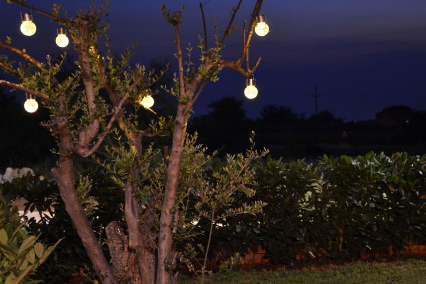 mit Blick auf das Wasser - foto 9