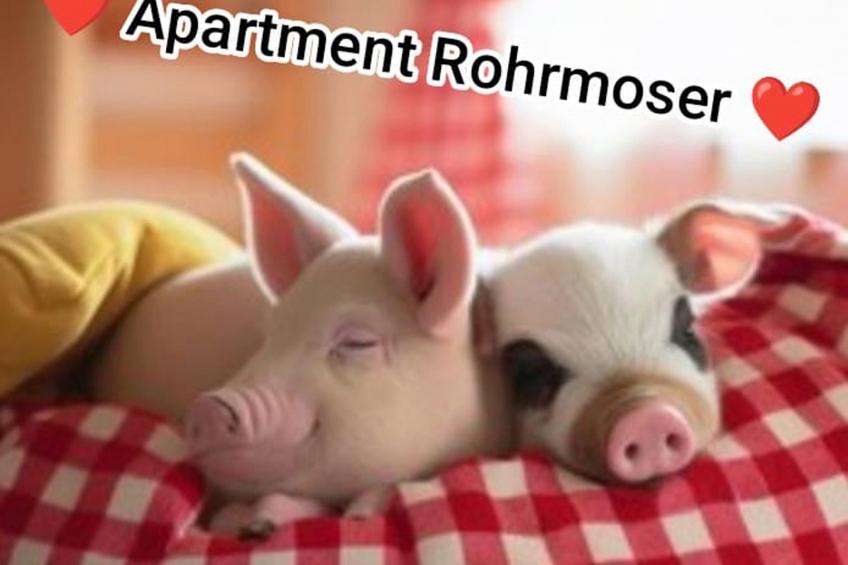 Apartment Rohrmoser - foto 32