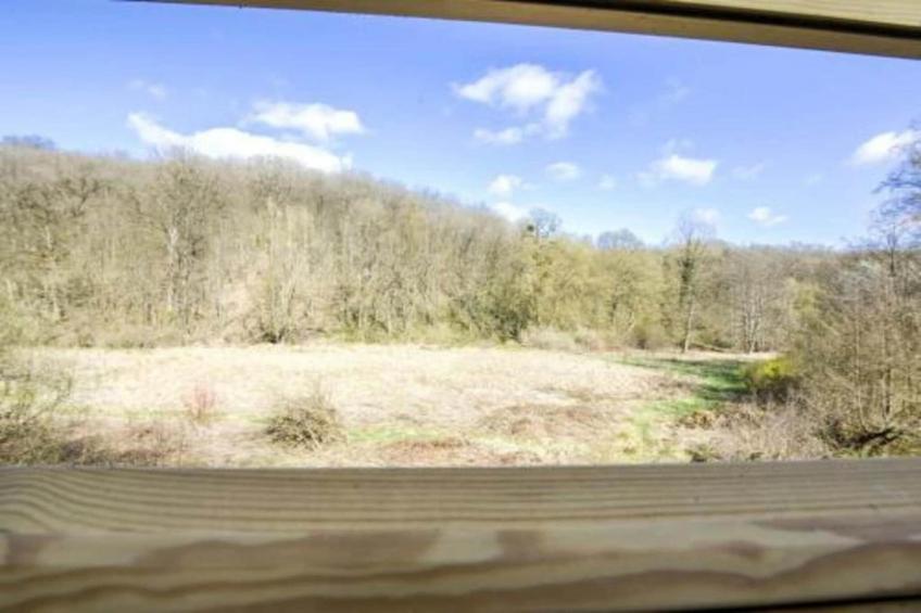 La Colline - foto 37