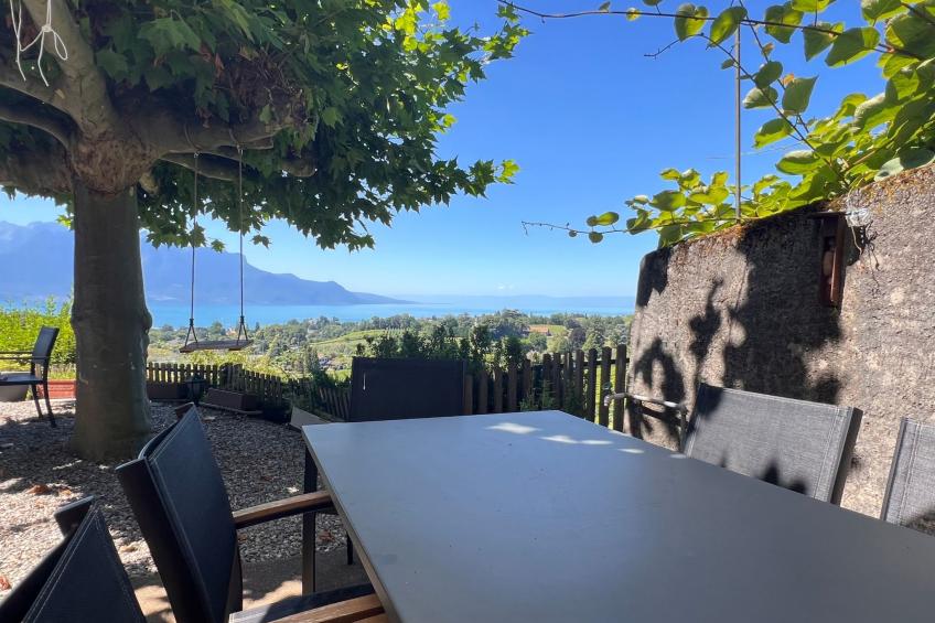 Vigneronne, Vigne - foto 2