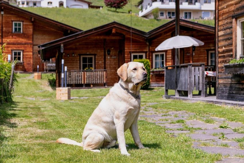 Uriges Chalet 3 - foto 23