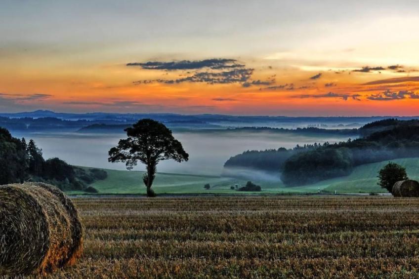 Landhaus Erika - foto 40