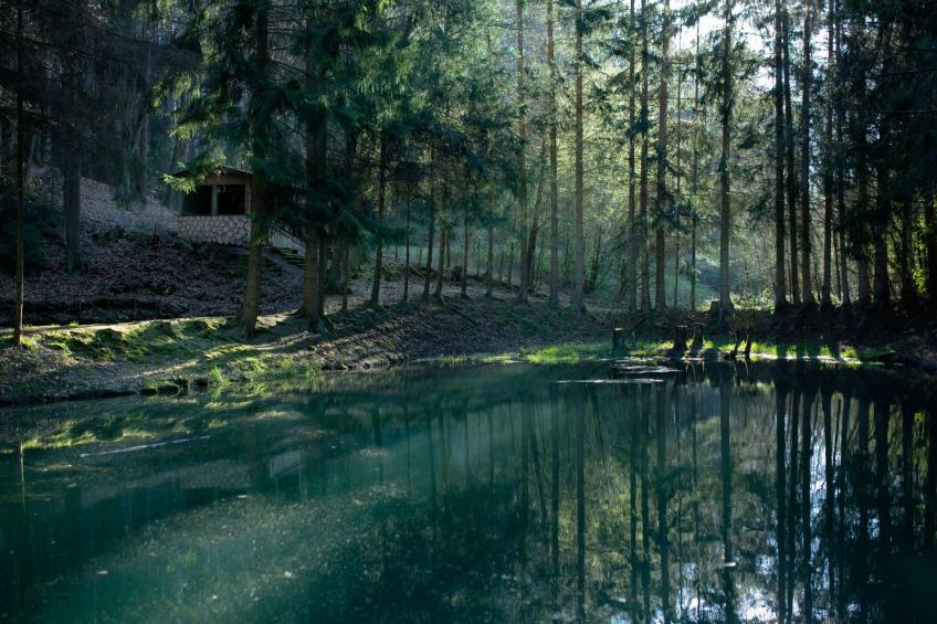 Cat'n'Boots Haus - foto 39