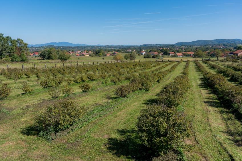 Holiday house Val - foto 35