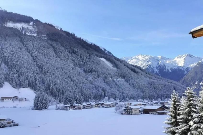 Chalets im Wald - foto 34