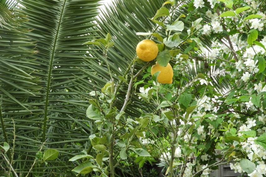 Wohnung "Les roses" auf einem eingemauerten Grundstück - foto 27
