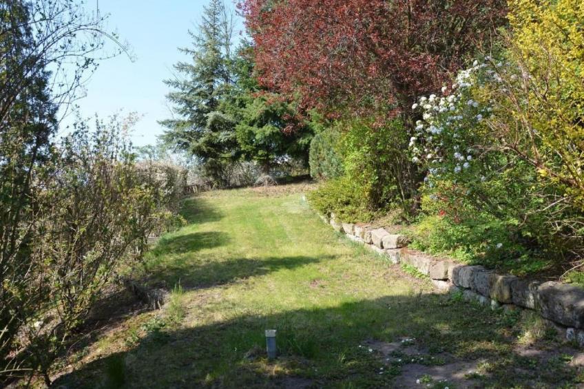 kunstsammler - foto 4