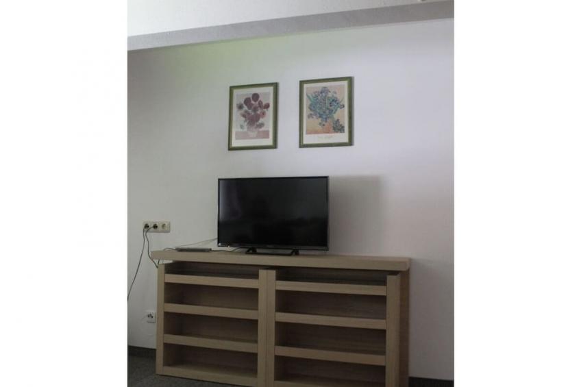 377956 - foto 14