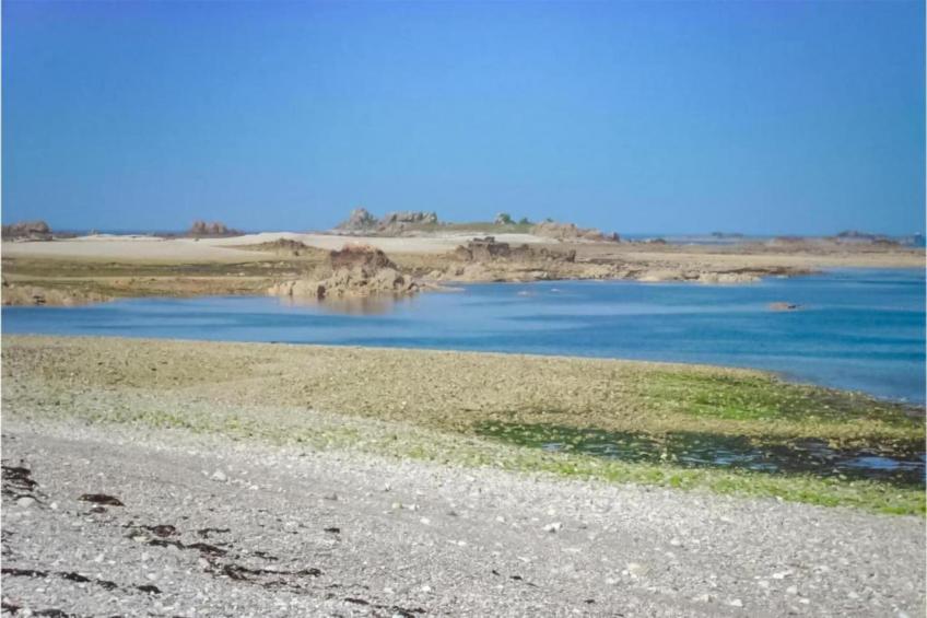 Gîte Saint-Gilles-les-Bois - foto 38