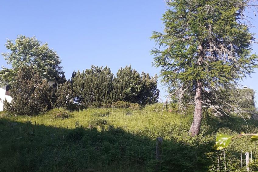 Wohnung Oberengadin - Maloja - Ca Val Forno - foto 22