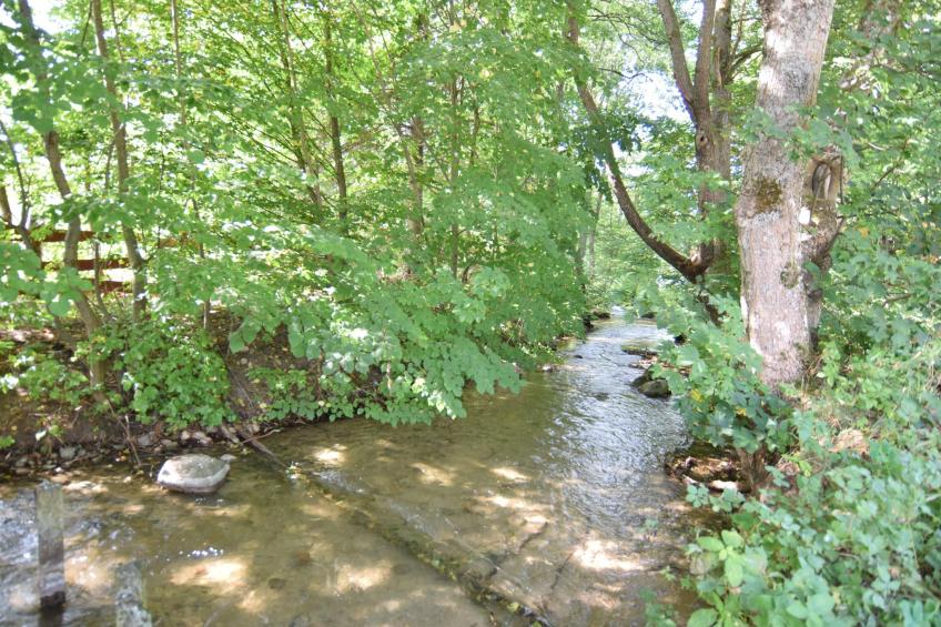 Domki wakacyjne MACIEJKA we Frydrychowie - foto 31