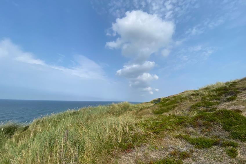 Kliff in Kampen auf Sylt - foto 23