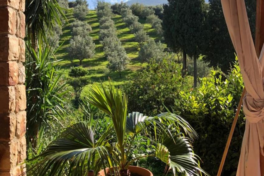 Behagliches Ferienhaus mit Garten inmitten eines - foto 11