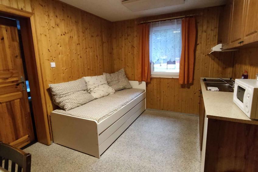 Vakantiewoning in Erzgebirge met mogelijkheid tot apitherapie - VW-V7ZPM - foto 4