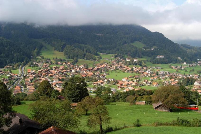 Haus Zumbrunn - foto 35