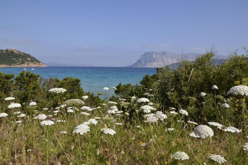Le Villette di San Gavino PT1 - foto 20