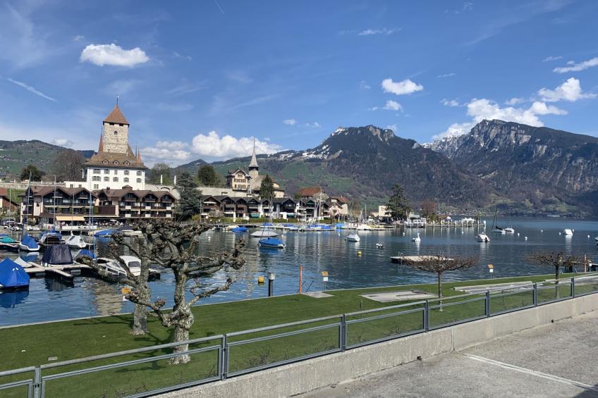 Gartenstudio "Belle Vue" - foto 13