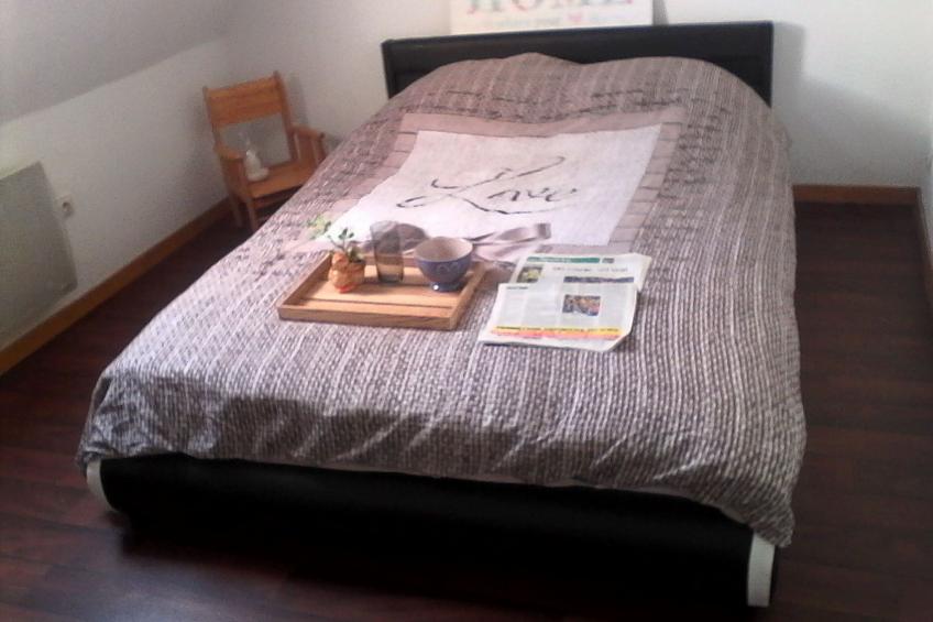 Haus in der Nähe von Straßburg mit privatem Spa - foto 8