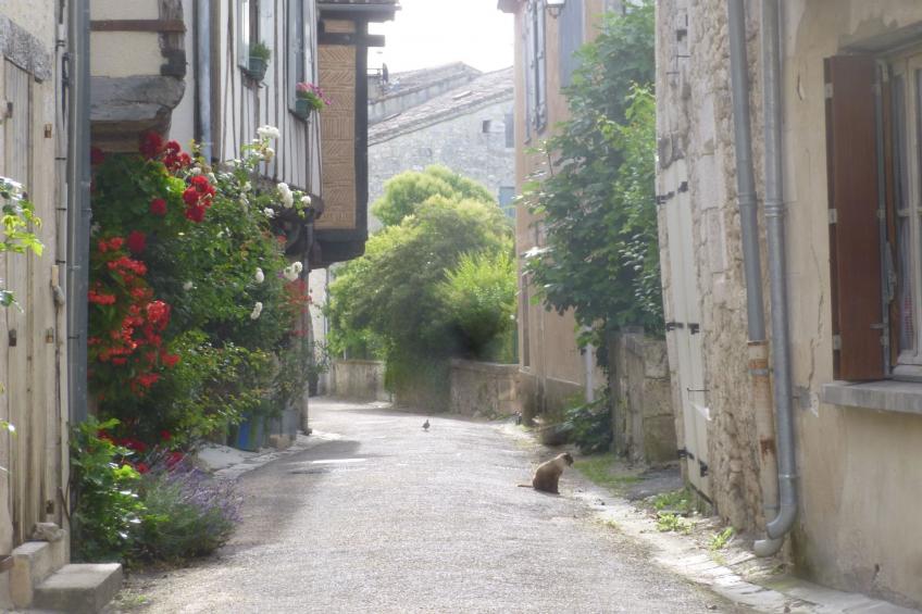 Fachwerkhaus "gitealienor perigord" - foto 33