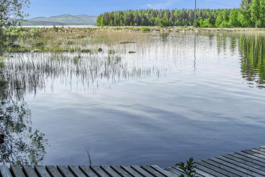 Koli, sammonranta - foto 56