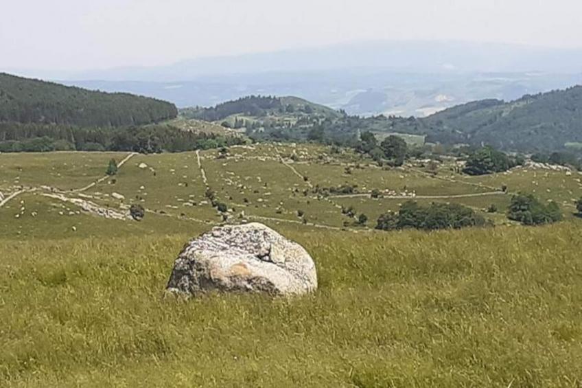 Gîte de France Gîte des amandines 3 épis - foto 39