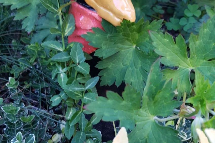 Am Marsfeld - foto 20