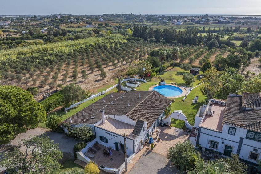 Jardim do Sul - foto 36