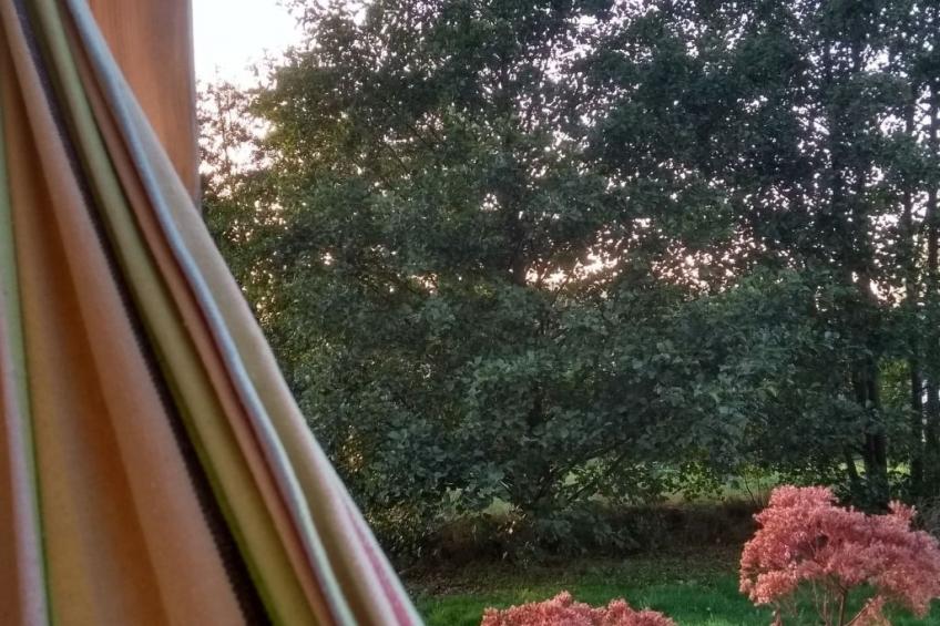 Urlaub Zirkuswagen - foto 9