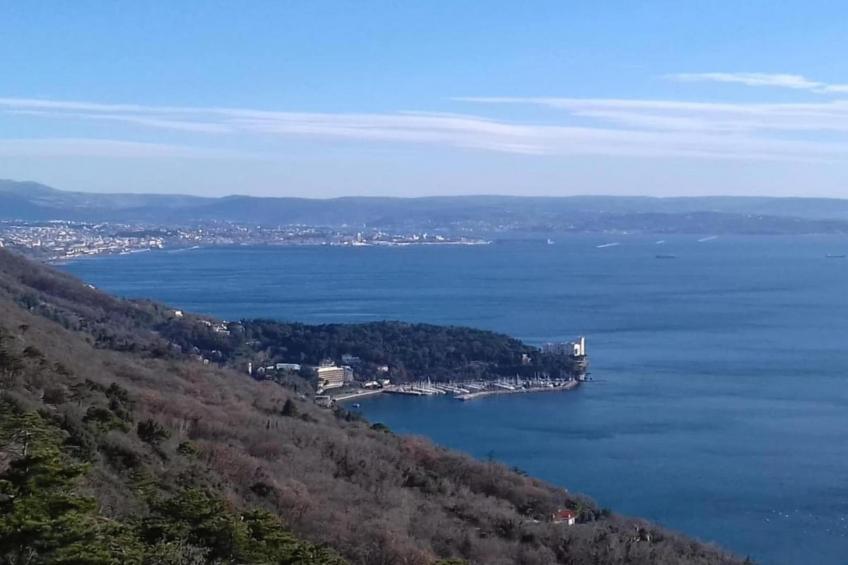 Les Balcons d'Auréa - foto 33