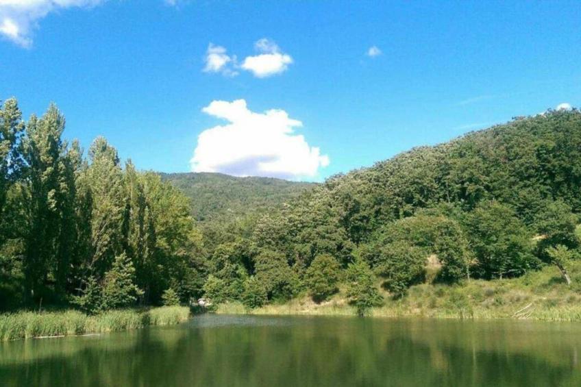 Casa Carlotta - foto 38