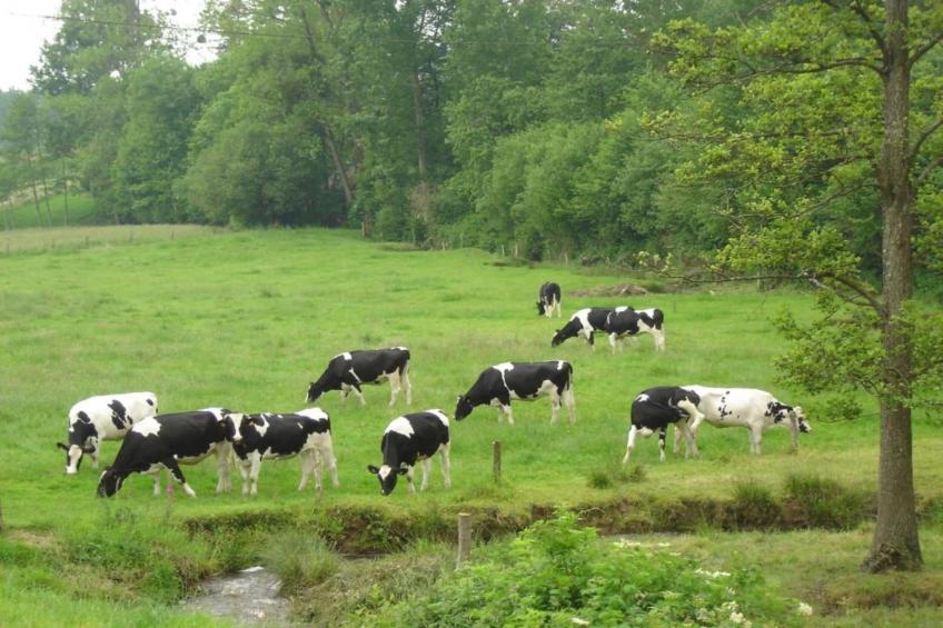 La Rivière - foto 29