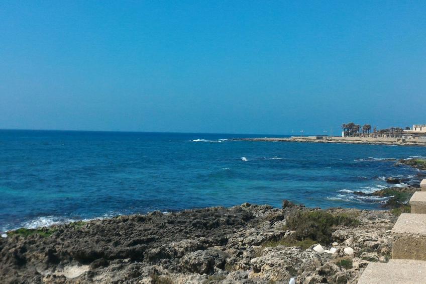 Elba Wohnung am Meer. - foto 19