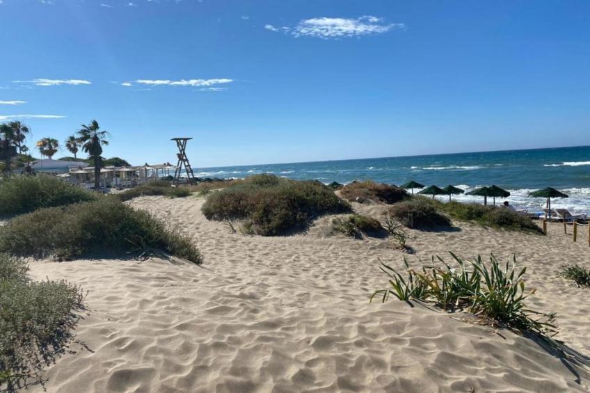 Romana Playa 555 - foto 30