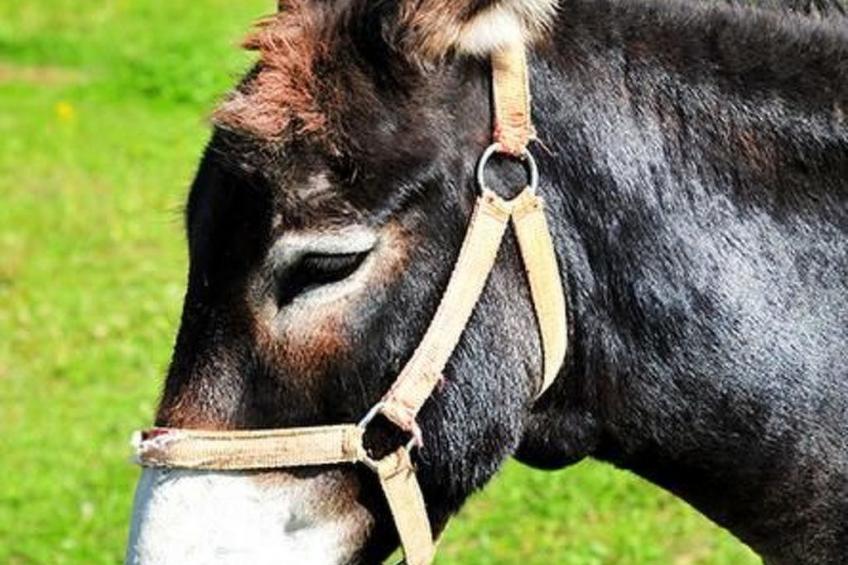 mit Terrasse - foto 19