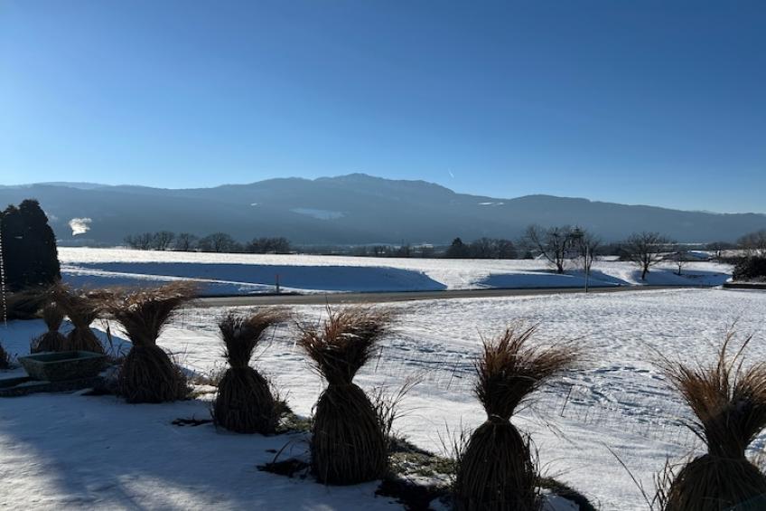 Haus Stern Anna - foto 3