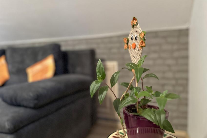 Am Sonnenblick - foto 7