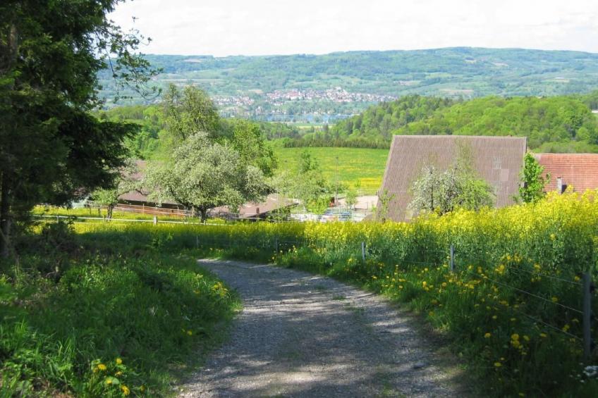 Tieroase Grünegg - foto 22