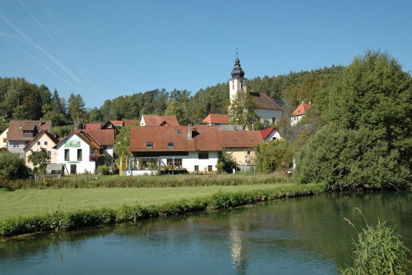 316166 - foto 2