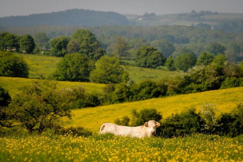 La maison du père Patin - foto 32