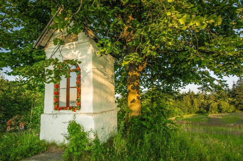 Zawoja - foto 48